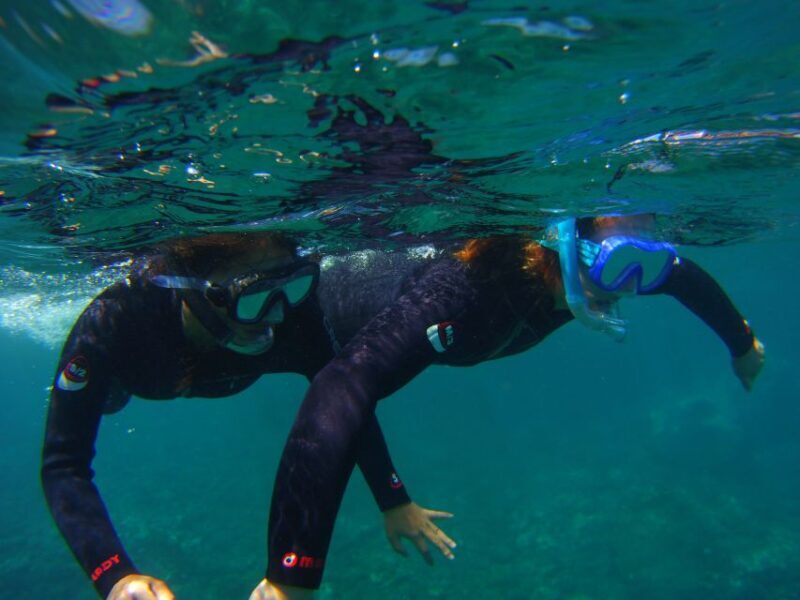 Snorkeling in a Volcanic Bay - Who Should Consider This Tour?