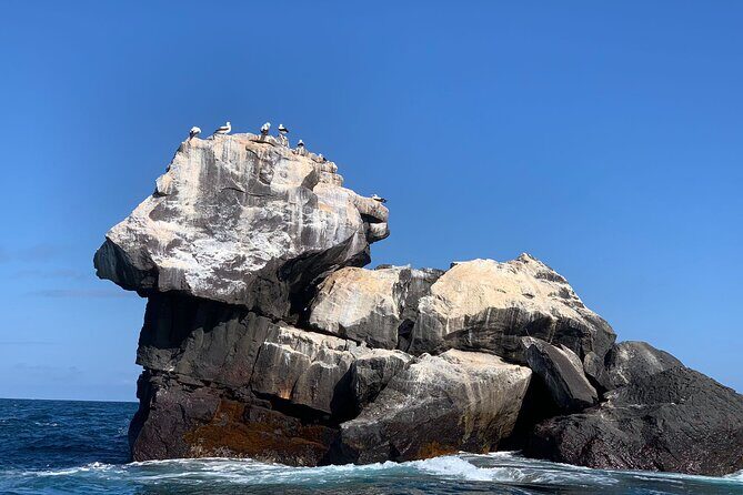 Snorkeling in Cabo Rosa Tunnels Isabela Island - Key Points