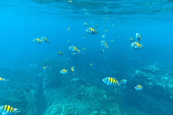 Snorkeling in Caño Island from uvita - Final Thoughts