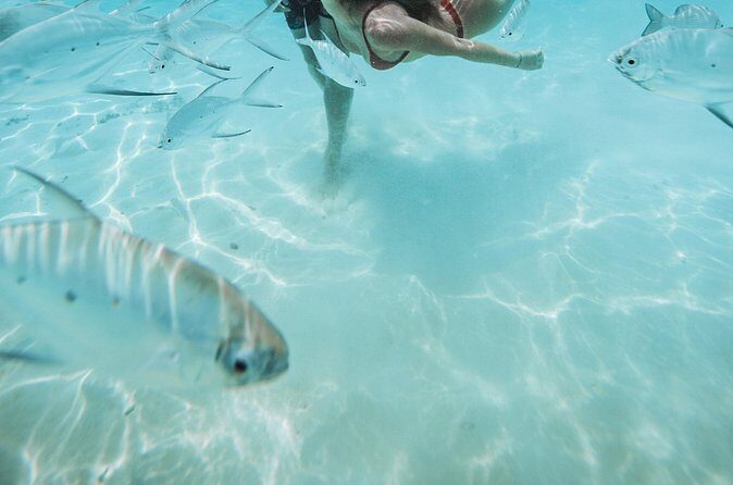 Snorkeling in Dhiffushi - Who Should Consider This Tour?