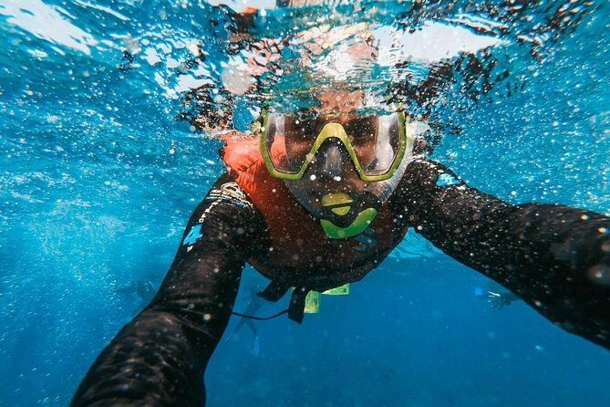 Snorkeling in Gran Canaria with Hotel Pick-up - The Marine Spots: Amadores Bay and Puerto de Mogan