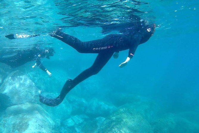 Snorkeling in Gran Canaria with Hotel Pick-up - Summary: Who Is This Tour Best For?