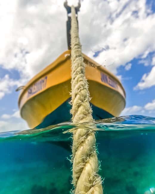 Snorkeling in Montego Bay with Transportation - The Sum Up