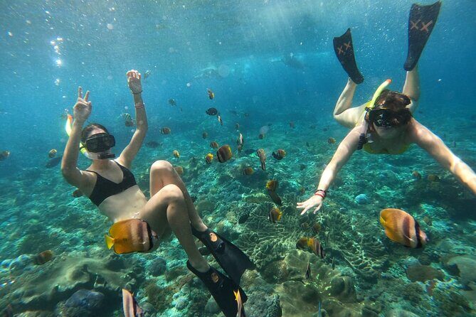 Snorkeling In Nusa Penida Island With Manta Ray From Bali - A Deep Dive into the Experience