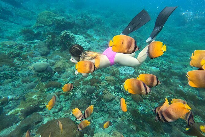 Snorkeling In Nusa Penida Island With Manta Ray From Bali - Final Thoughts