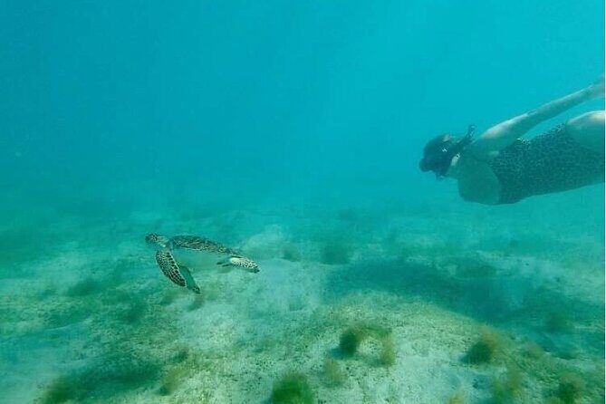 Snorkeling in Paradise - Videos Included - A Deep Dive Into the Snorkeling Tour Experience