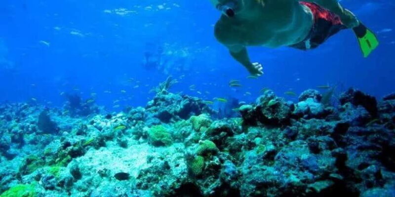 Snorkeling in Port City - Exploring the Snorkeling Experience in Port City