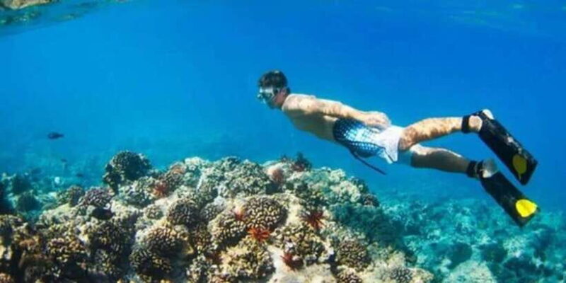 Snorkeling in Port City - Practical Details and Tips