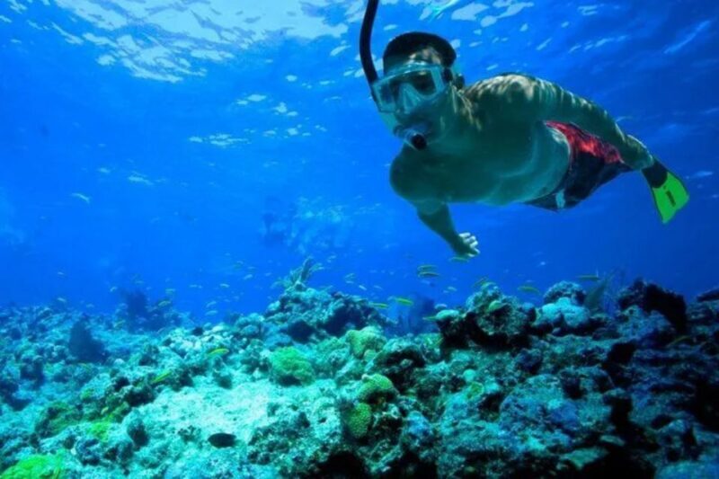 Snorkeling in Port City - Authentic Experience and Authenticity