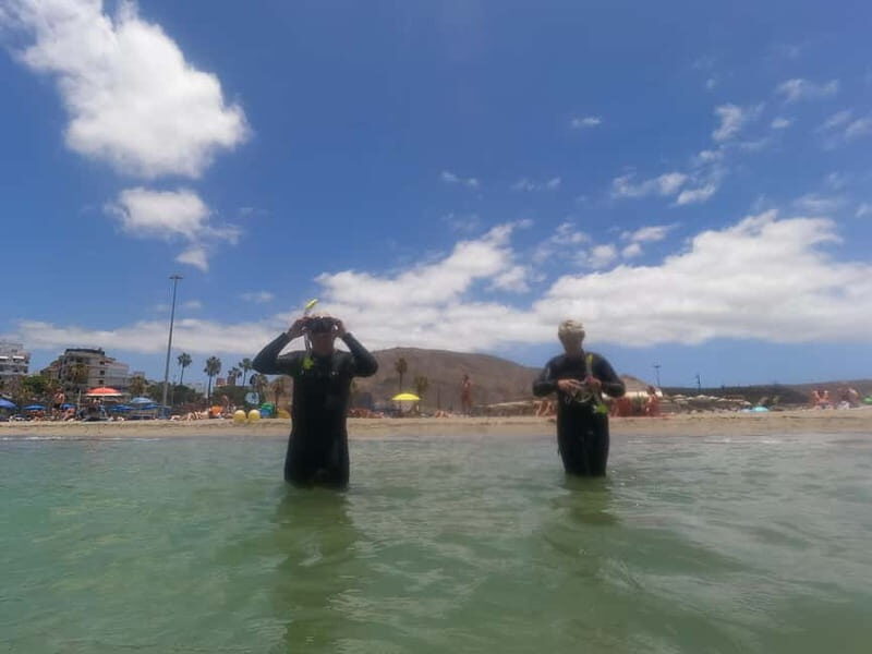Snorkeling in tenerife south: Discover the underwater world - Exploring Tenerife’s Marine Life and the Local Experience