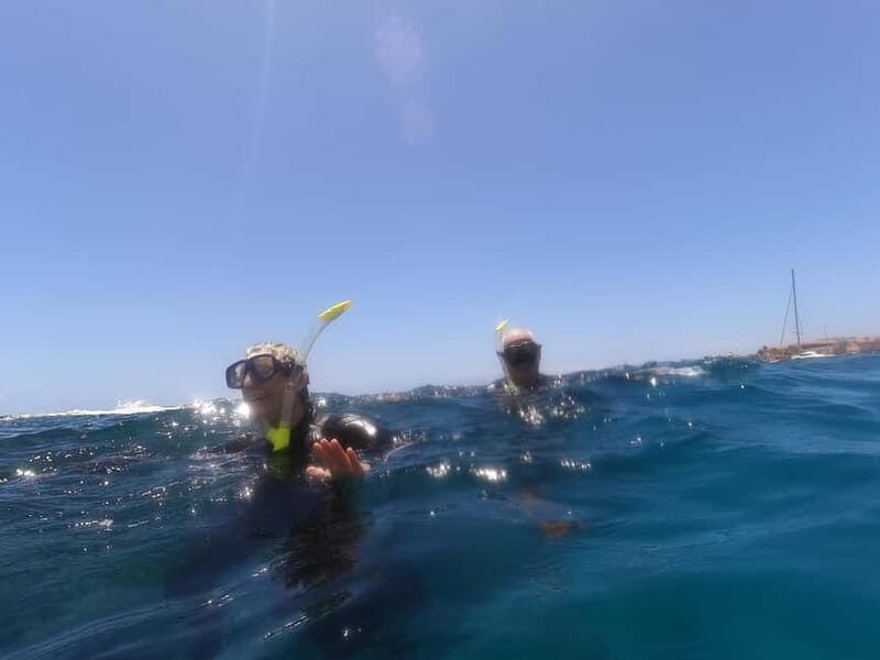 Snorkeling in tenerife south: Discover the underwater world - An In-Depth Look at the Itinerary