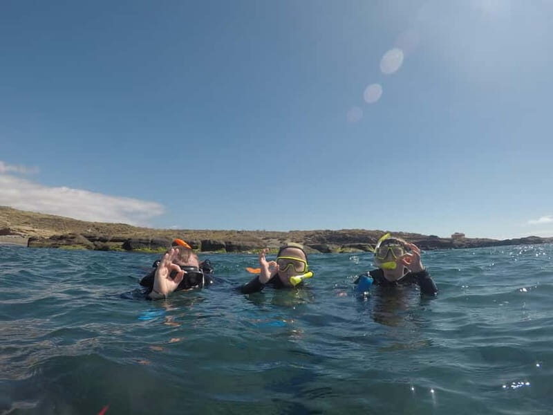 Snorkeling in tenerife south: Discover the underwater world - Whats Included and What to Bring