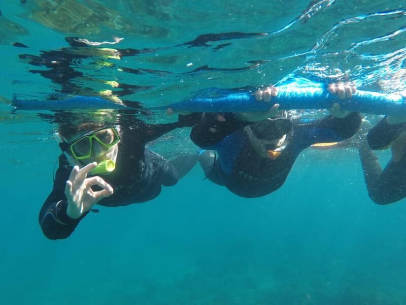 Snorkeling in tenerife south: Discover the underwater world - Practical Details and Considerations