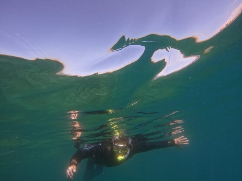 Snorkeling in tenerife south: Discover the underwater world - Who Would Enjoy This Tour?
