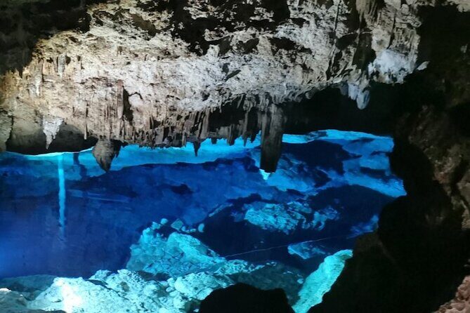 Snorkeling in the Cenotes of Bayahibe - A Close Look at the Experience