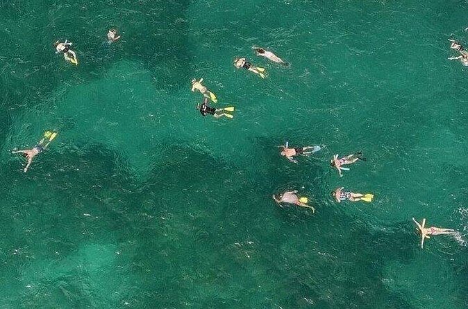 Snorkeling in the Florida Keys - Considerations for Your Visit