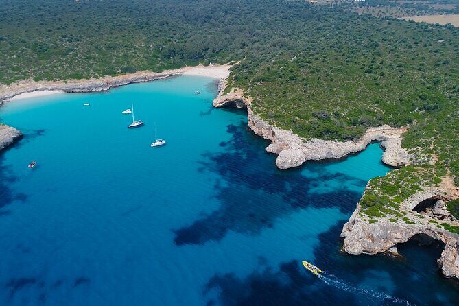Snorkeling in the Natural Park of Mallorca by boat - Snorkeling in the Natural Park of Mallorca by Boat: A Deep Dive into the Best Coves of the East Coast