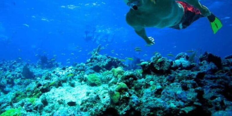 Snorkeling in Trincomalee - The Sum Up