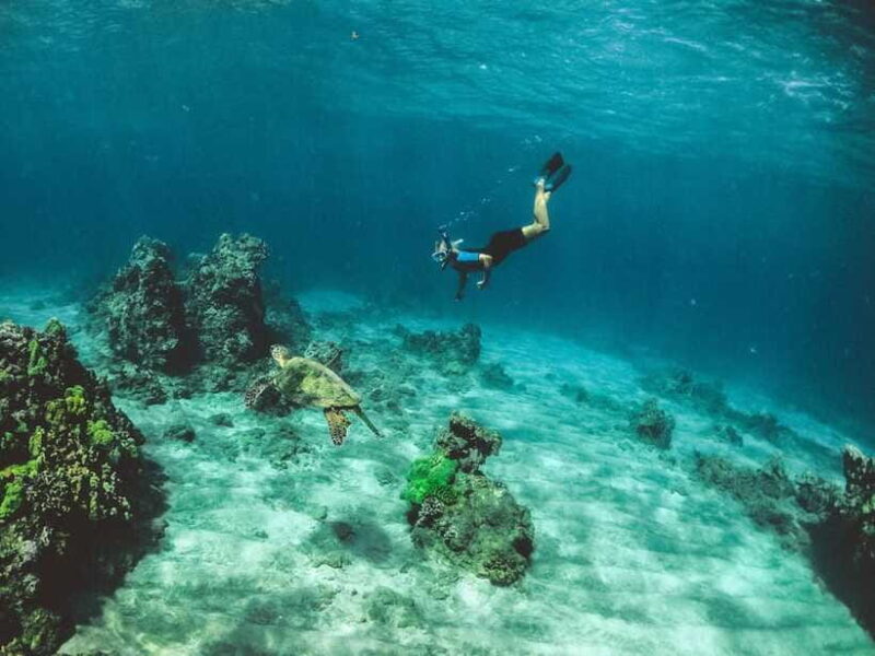Snorkeling in Unawatuna - FAQs
