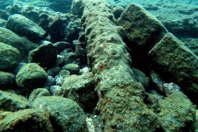 Snorkeling in Vila Franca do Campo - A Close Look at What to Expect from the Snorkeling Tour