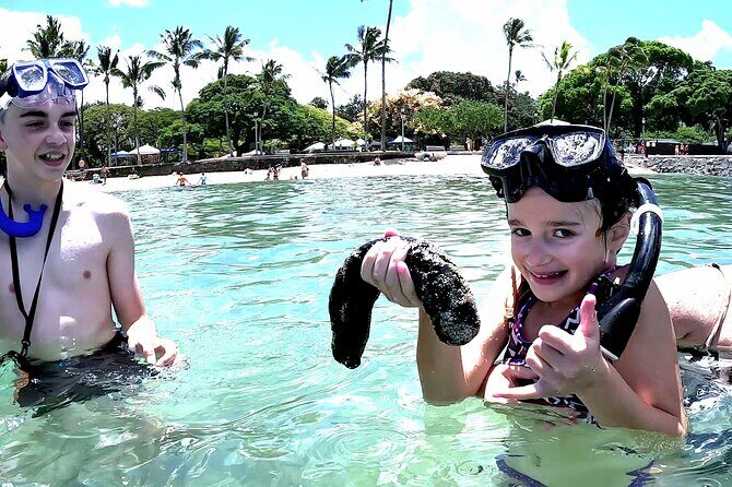 Snorkeling in Waikiki Many Fish All Levels Free Video & Pics! - Introduction