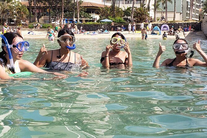 Snorkeling in Waikiki Many Fish All Levels Free Video & Pics! - Who Will Love This Tour?