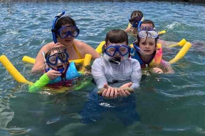 Snorkeling in Waikiki Many Fish All Levels Free Video & Pics! - Final Thoughts