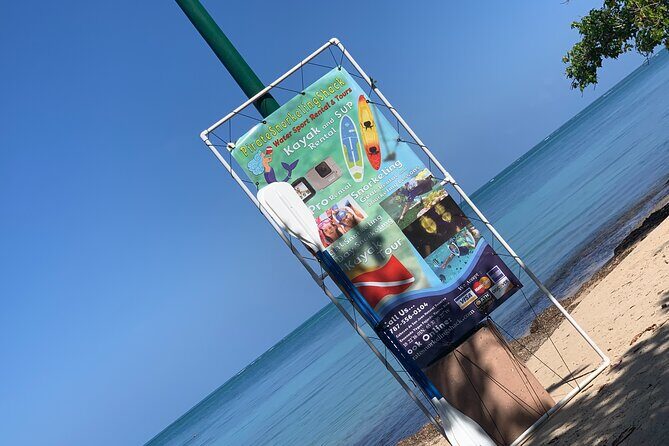 Snorkeling & Kayak Eco-Adventure in Puerto Rico - Key Points