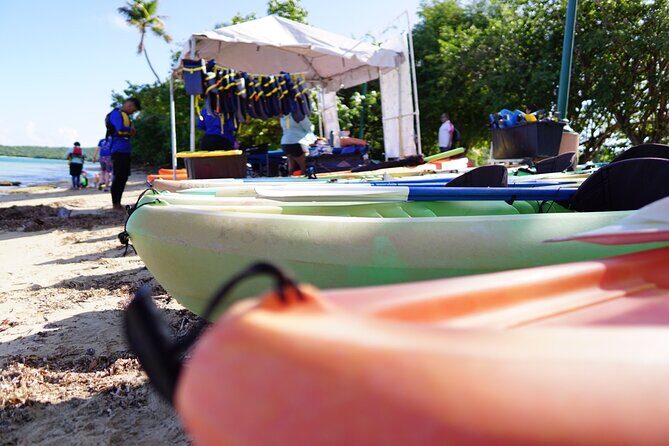 Snorkeling & Kayak Eco-Adventure in Puerto Rico - FAQ