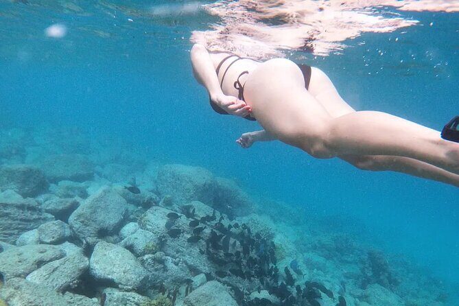 Snorkeling, Kayaking and Paddle Board Activity in Antigua - Key Points