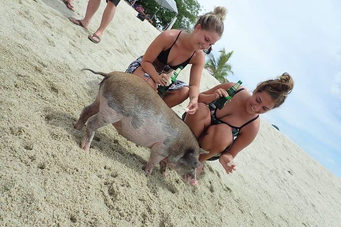 Snorkeling & Kayaking Trip at Koh Madsum and Koh Tan By Speedboat From Koh Samui - FAQs