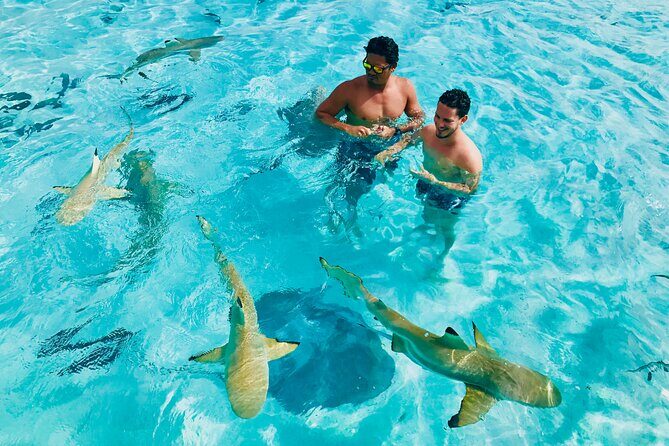 Snorkeling Lagoon Cruise and Whale Watching in Moorea - Snorkeling Lagoon Cruise and Whale Watching in Moorea: A Complete Guide