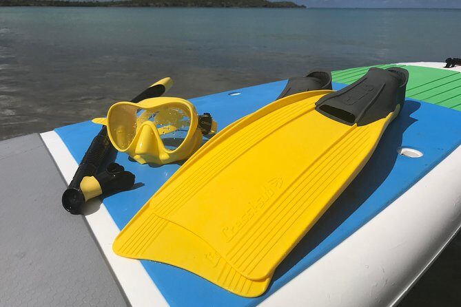 Snorkeling Lesson & Interactive Experience for Kids and Adults - Practical Details and Considerations