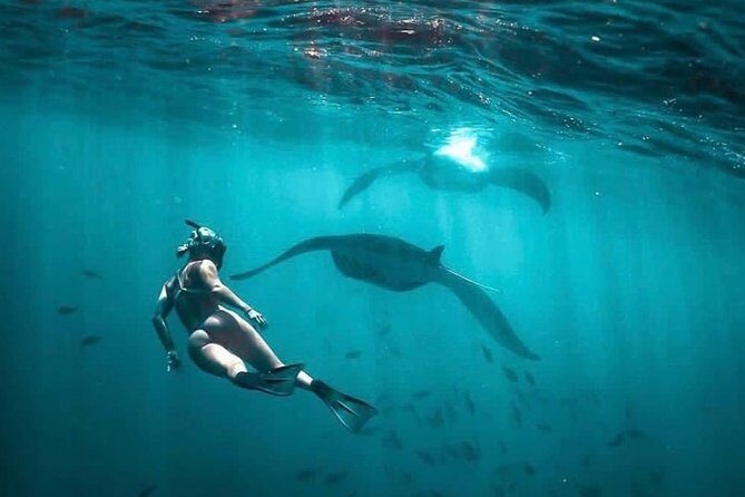 Snorkeling Manta Ray Safari in Nusa Penida - FAQ: Snorkeling Manta Ray Safari in Nusa Penida