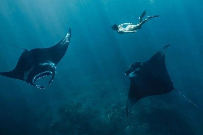 Snorkeling Manta Rays and Land Tour Nusa Penida  All-Included - Short Introduction: What’s This Tour All About?