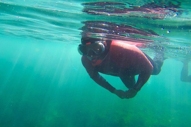 Snorkeling - Marine Park Discovery - The Sum Up