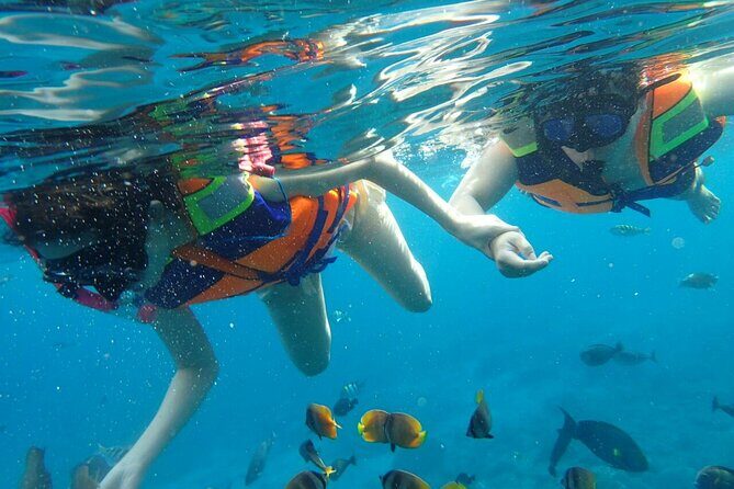 Snorkeling Nusa Penida and Island Tour Package - FAQ
