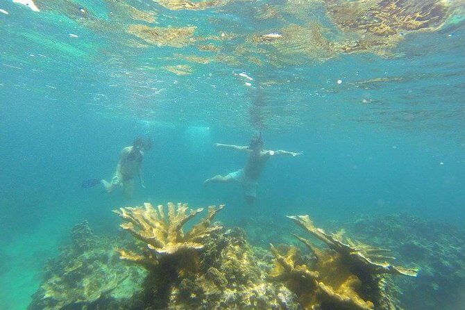 Snorkeling on The Caribbean side of Panama - Snorkeling on the Caribbean side of Panama: A Detailed Review