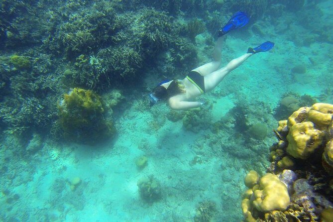 Snorkeling on The Caribbean side of Panama - Who Should Consider This Tour?