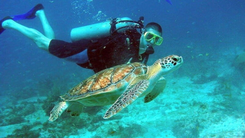 Snorkeling Or Scuba Diving In Cham Islands - FAQ