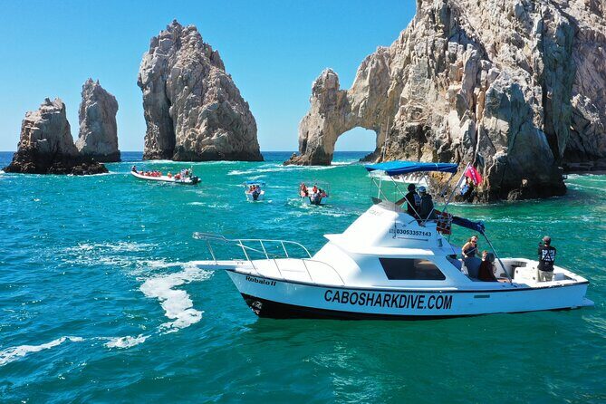Snorkeling or Swimming with Sharks in Cabo San Lucas - Frequently Asked Questions