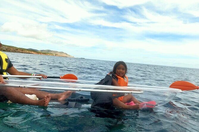 Snorkeling-out : Transparent Kayak or SUP Tour - Who Would Love This Tour?