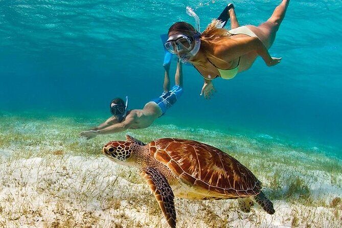 Snorkeling Paddle Private Catamaran 1/2 Day Turks and Caicos - Experience the Best of Providenciales on a Private Snorkeling and Paddleboarding Catamaran