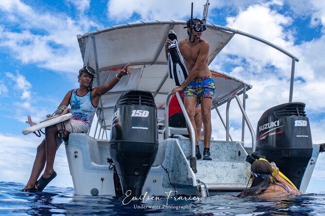 Snorkeling Safari Moorea (Half Day Tour) - The Final Word