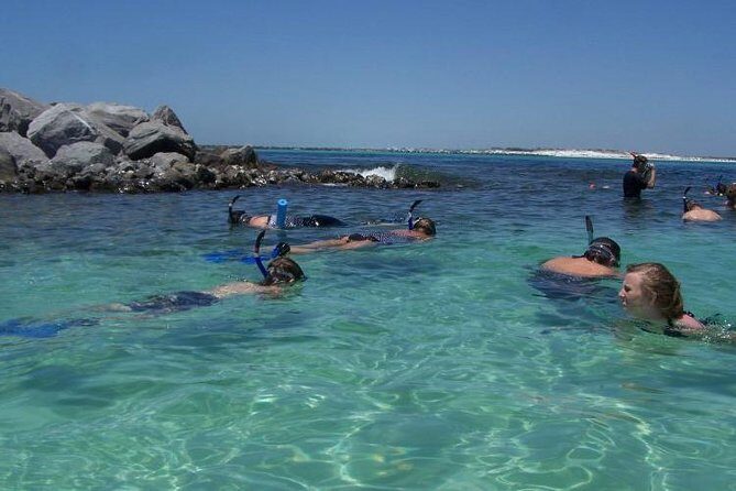 Snorkeling, Shelling & Eco Excursion - Key Points