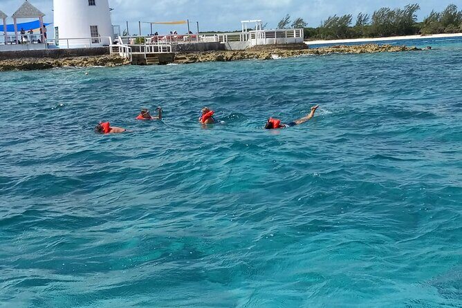 Snorkeling, Swim with Turtles & Beach Day - FAQ