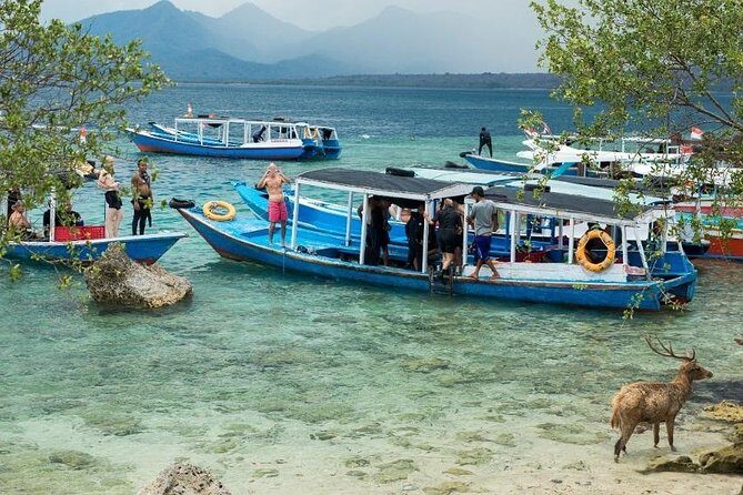 Snorkeling to Menjangan Island - An In-Depth Look at This Snorkeling Tour