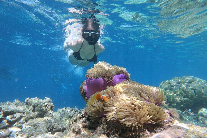 Snorkeling Tour at Blue Lagoon with Private Hotel Transfer - An In-Depth Look at the Blue Lagoon Snorkeling Tour