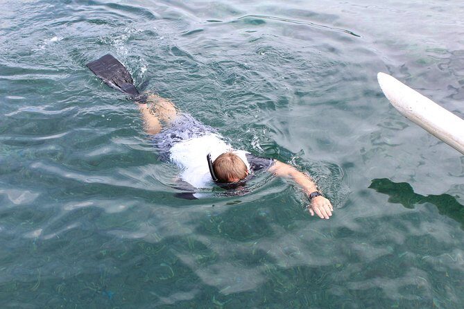 Snorkeling Tour at Blue Lagoon with Private Hotel Transfer - Authentic Reviews and What They Say