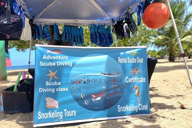 Snorkeling Tour at Cerro Gordo Beach Vega Alta Puerto Rico - Explore Puerto Rico’s Underwater World with the Cerro Gordo Beach Snorkeling Tour